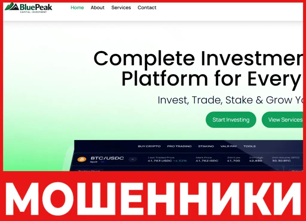 BluePeak Capital Investment лицевая сторона скрин