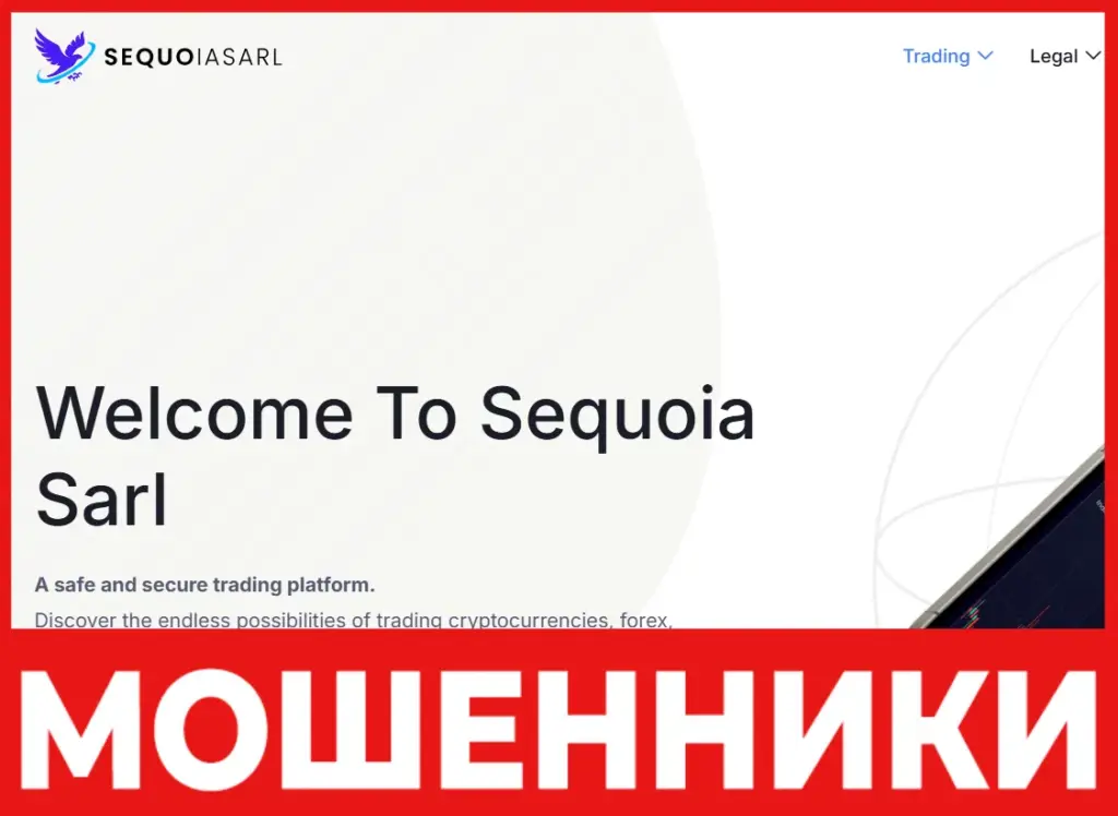 Sequoia Sarl лицевая сторона скрин