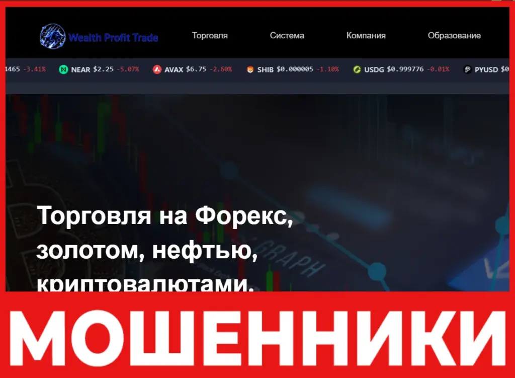 WealthProfit Trade лицевая сторона скрин
