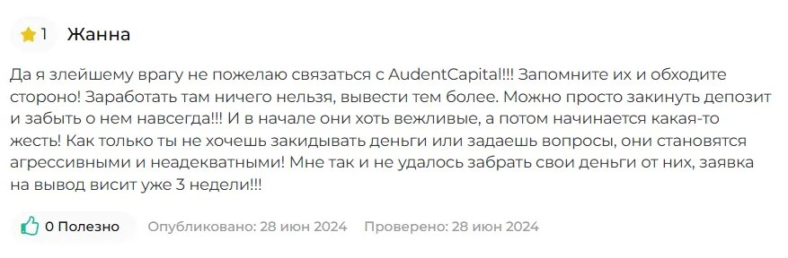 AudentCapital_1 скрин