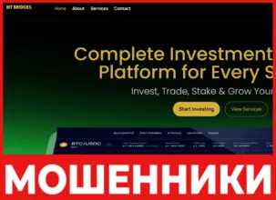 BitBridges лицевая сторона скрин
