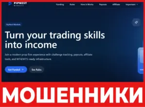 PipNest Markets лицевая сторона скрин
