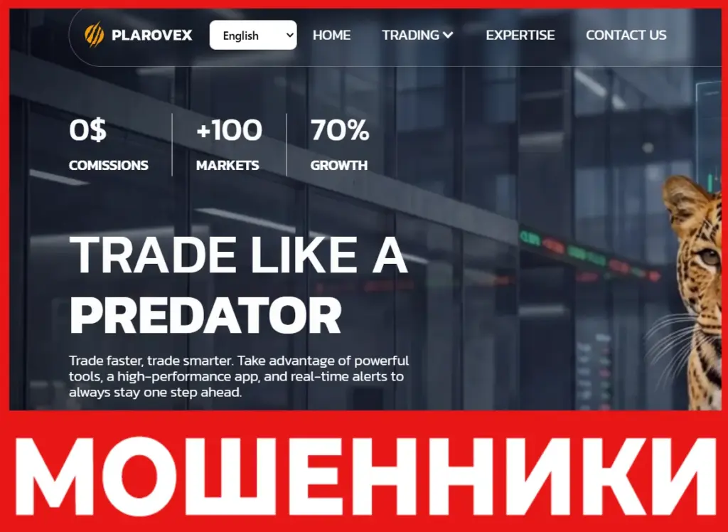 Plarovex лицевая сторона скрин