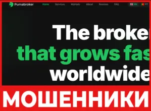 Puma Broker лицевая сторона скрин