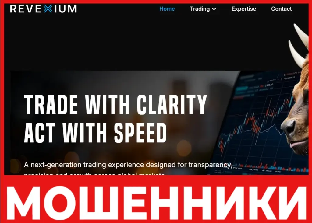 Revexium лицевая сторона скрин