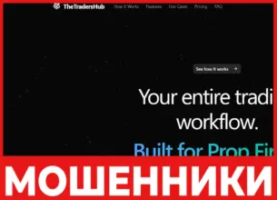 TheTradersHub лицевая сторона скрин
