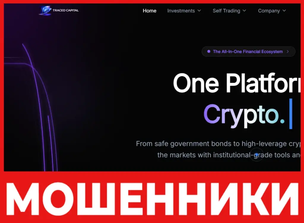 Traced Capital лицевая сторона скрин