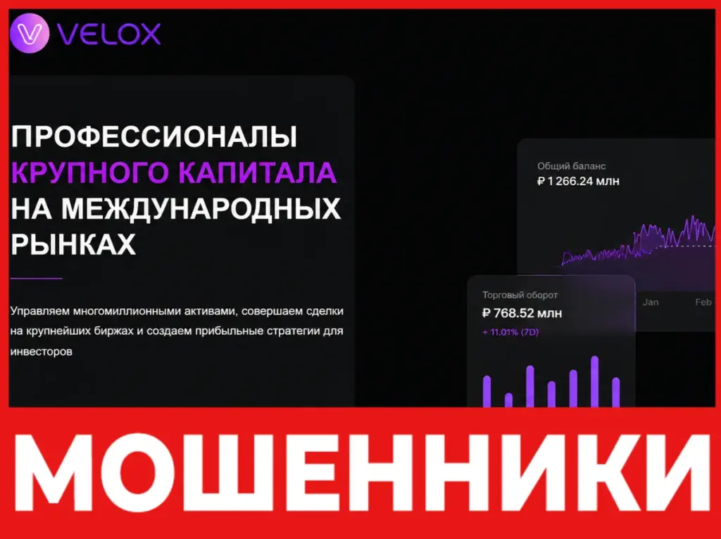 Veelox лицевая сторона скрин