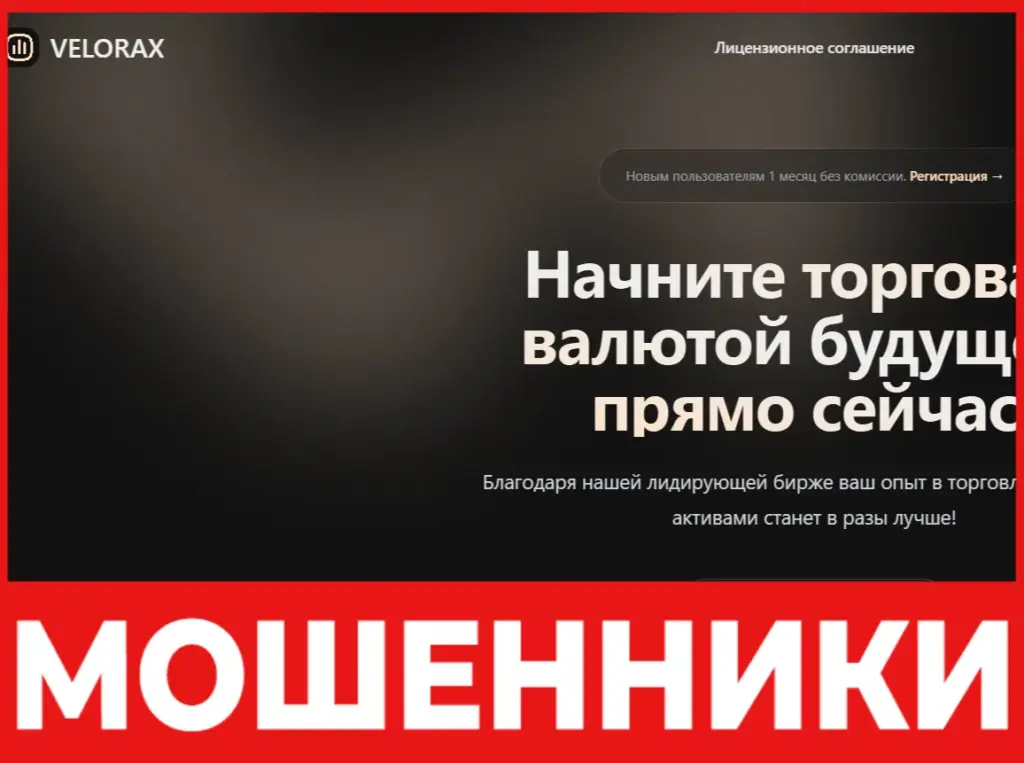 VELORAX лицевая сторона скрин