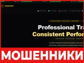 ZEEKING лицевая сторона скрин