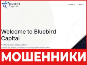 Bluebird Capital лицевая сторона скрин