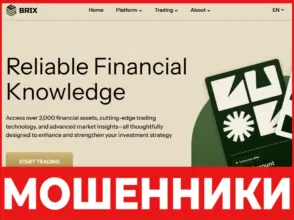 Brix Global Limited лицевая сторона скрин