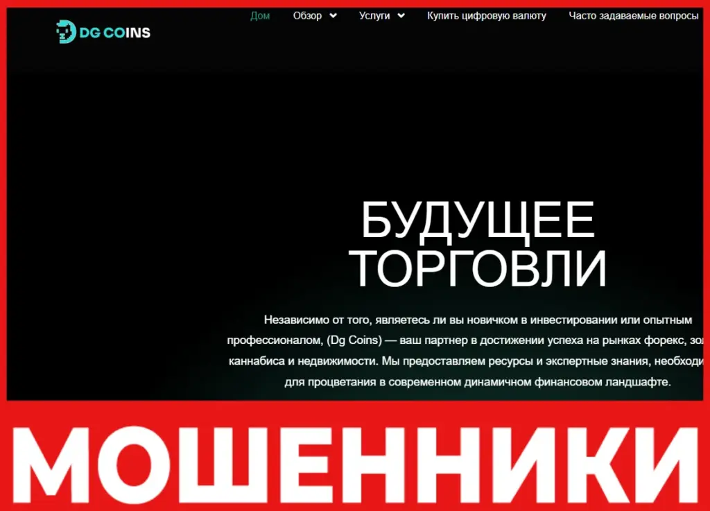 DgCoins лицевая сторона скрин