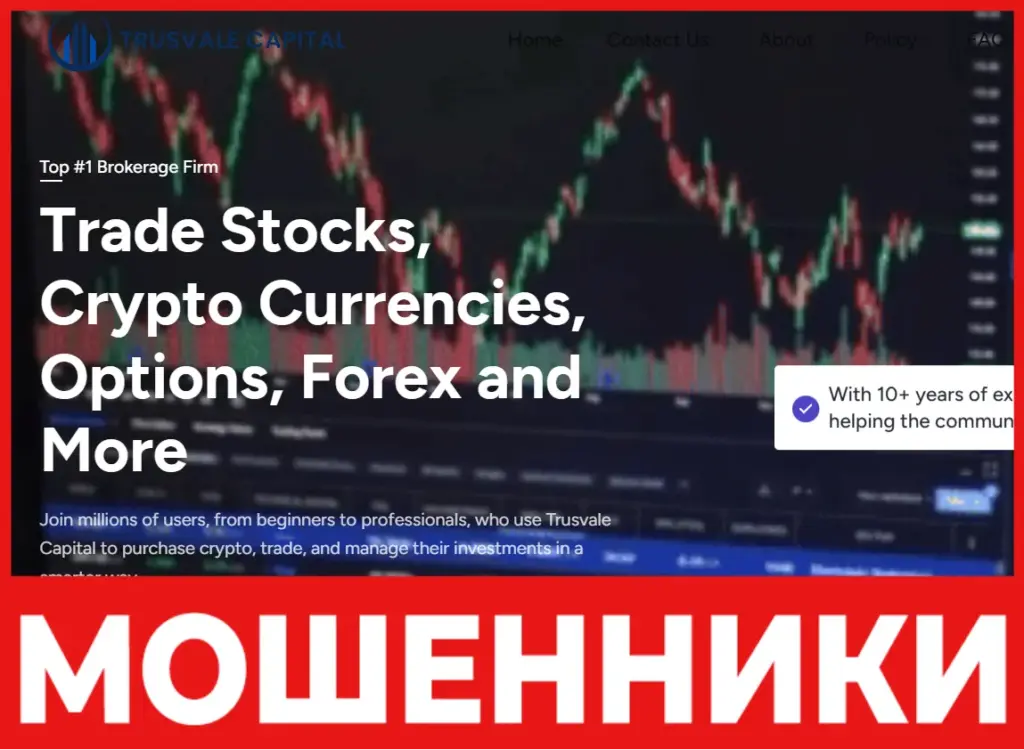 Trusvale Capital лицевая сторона скрин