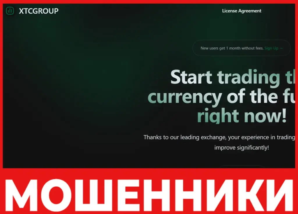 XTCGROUP лицевая сторона скрин
