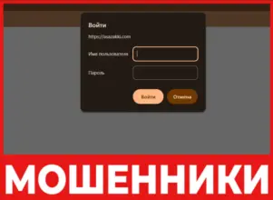 Asazakki лиевая сторона скрин
