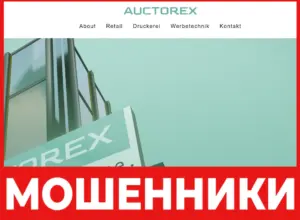 Auctorex лицевая сторона скрин