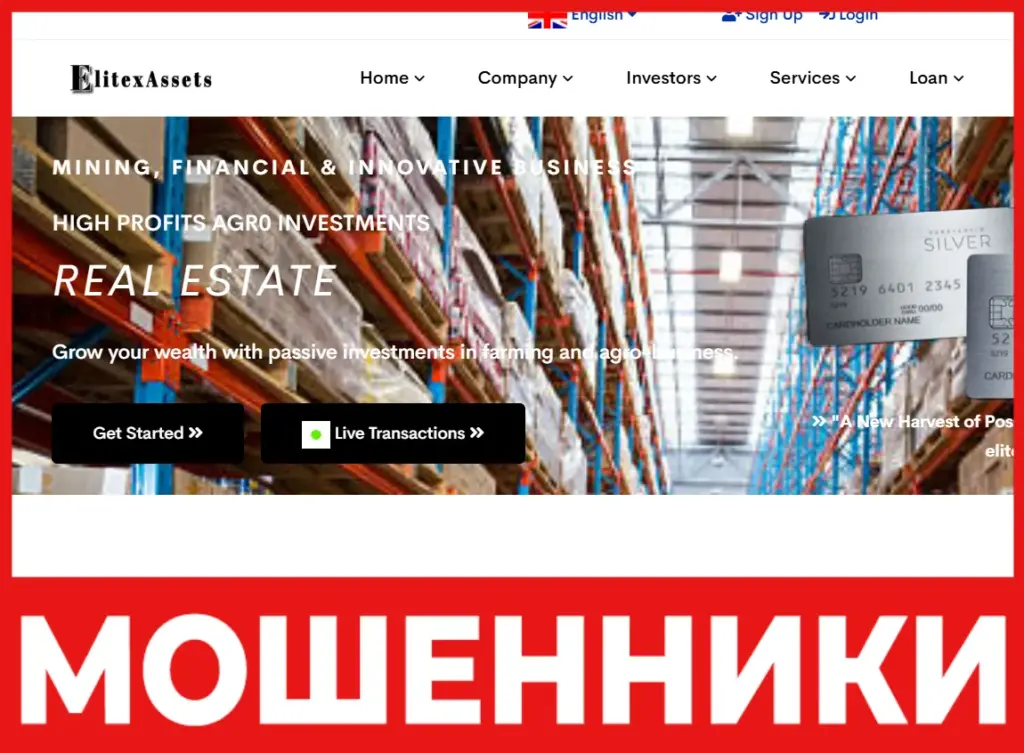 ElitexAssets лицевая сторона скрин