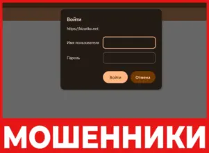 Kizariko лицевая сторона скрин