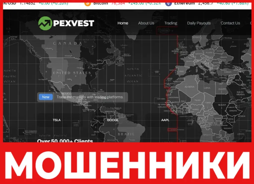Pexvest лицевая сторона скрин