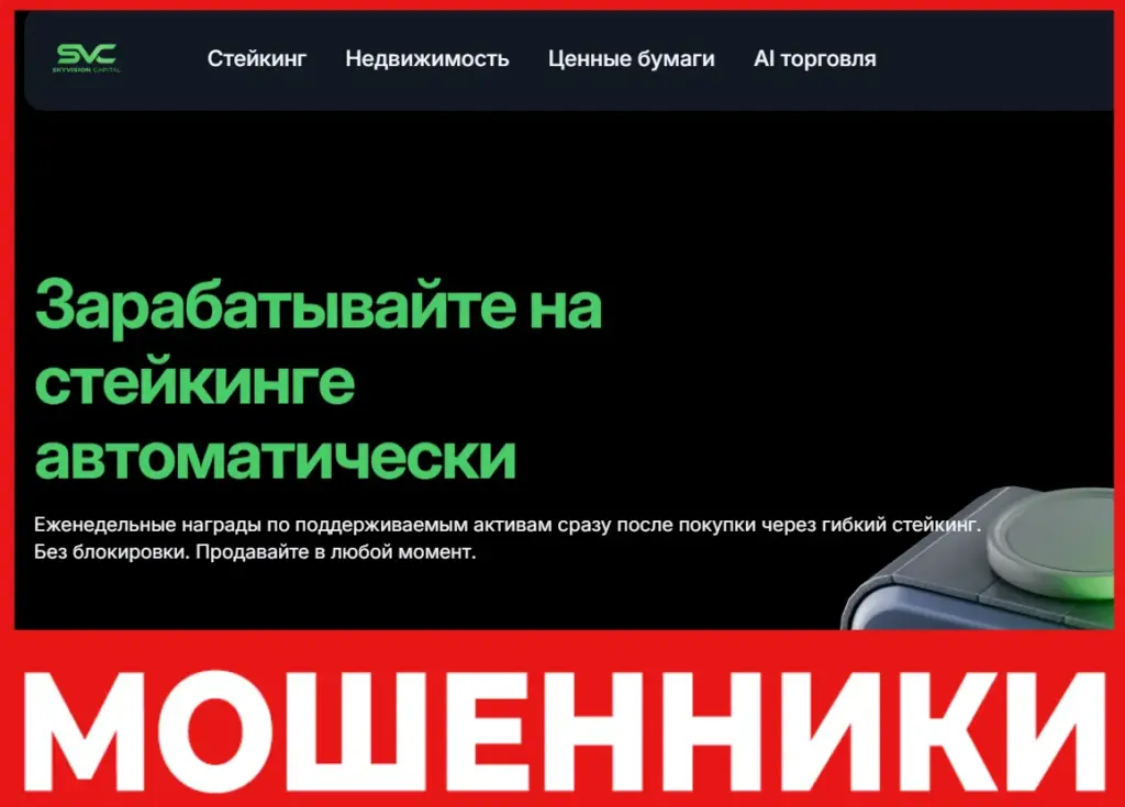 Skyvision Capital лицевая сторона скрин