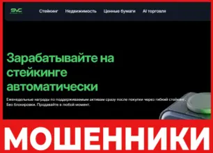 Skyvision Capital лицевая сторона скрин
