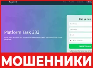 Task 333 лицевая сторона скрин
