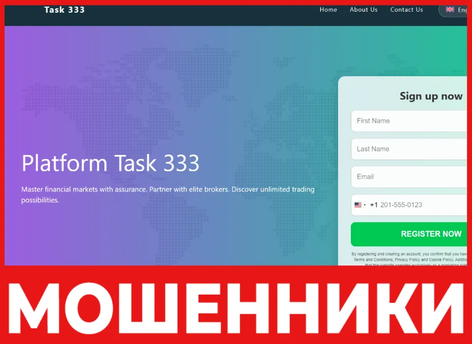 Task 333 лицевая сторона скрин