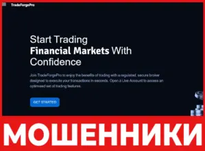 TradeForgePro лицевая сторона скрин