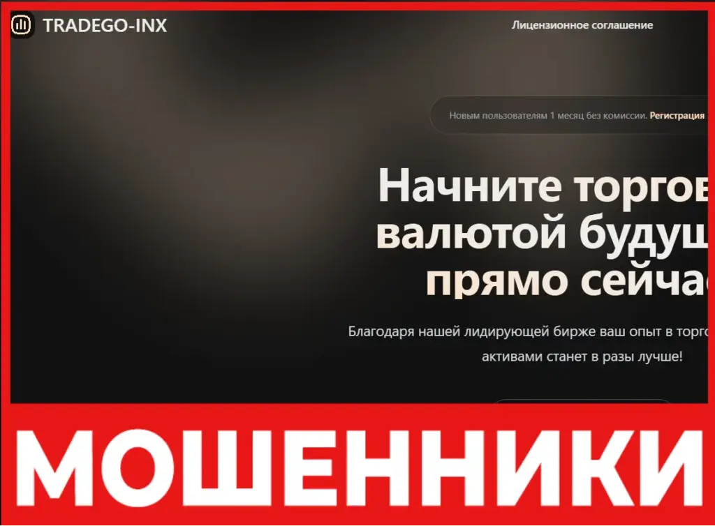 Tradego-Inx лицевая сторона скрин