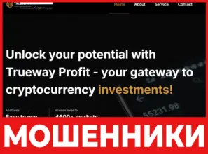 TruewayProfit лицевая сторона скрин