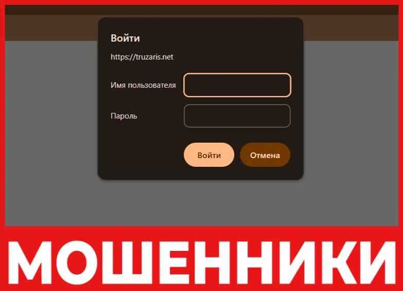 Truzaris лицевая сторона скрин
