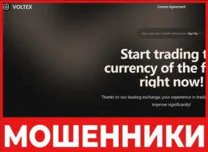 Voltex лицевая сторона скрин