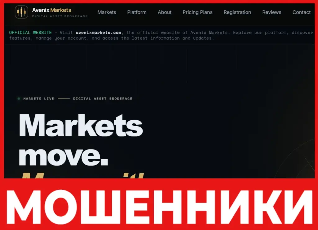 AVENIXMARKETS лицевая сторона скрин