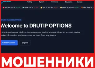 Drutip Options лицевая сторона скрин