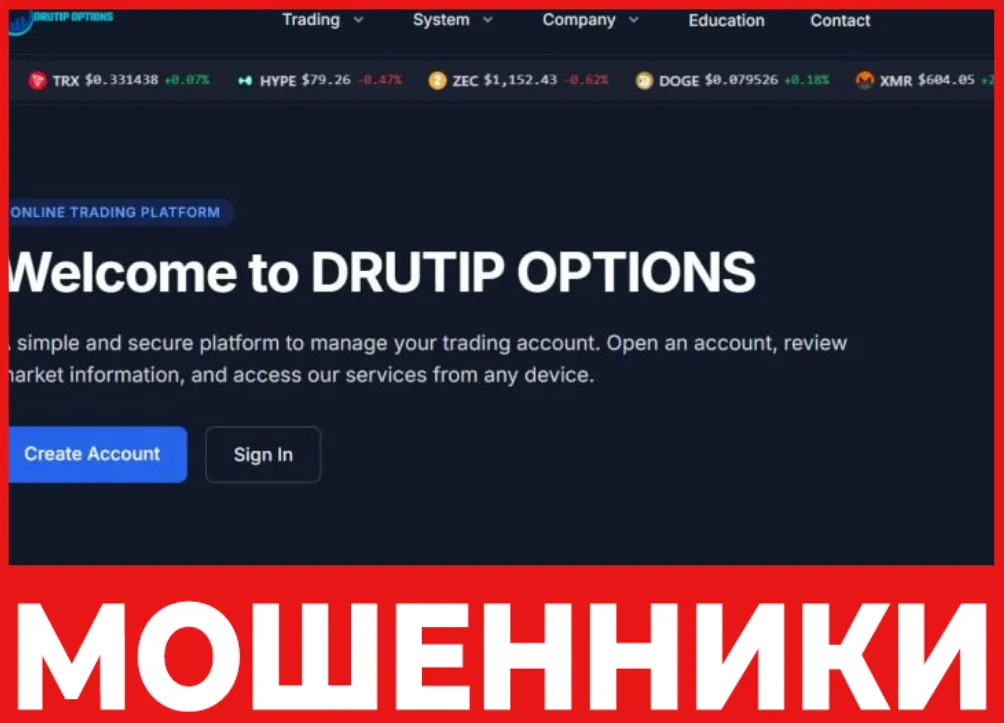 Drutip Options лицевая сторона скрин