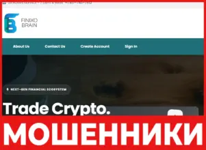 FinixoBrain лицевая сторона скрин