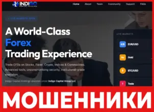 Indigo Capital Holdings лицевая сторона скрин