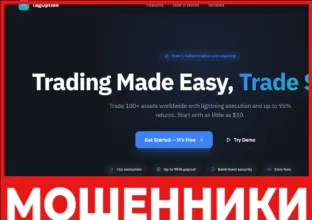 TagOption лицевая сторона скрин