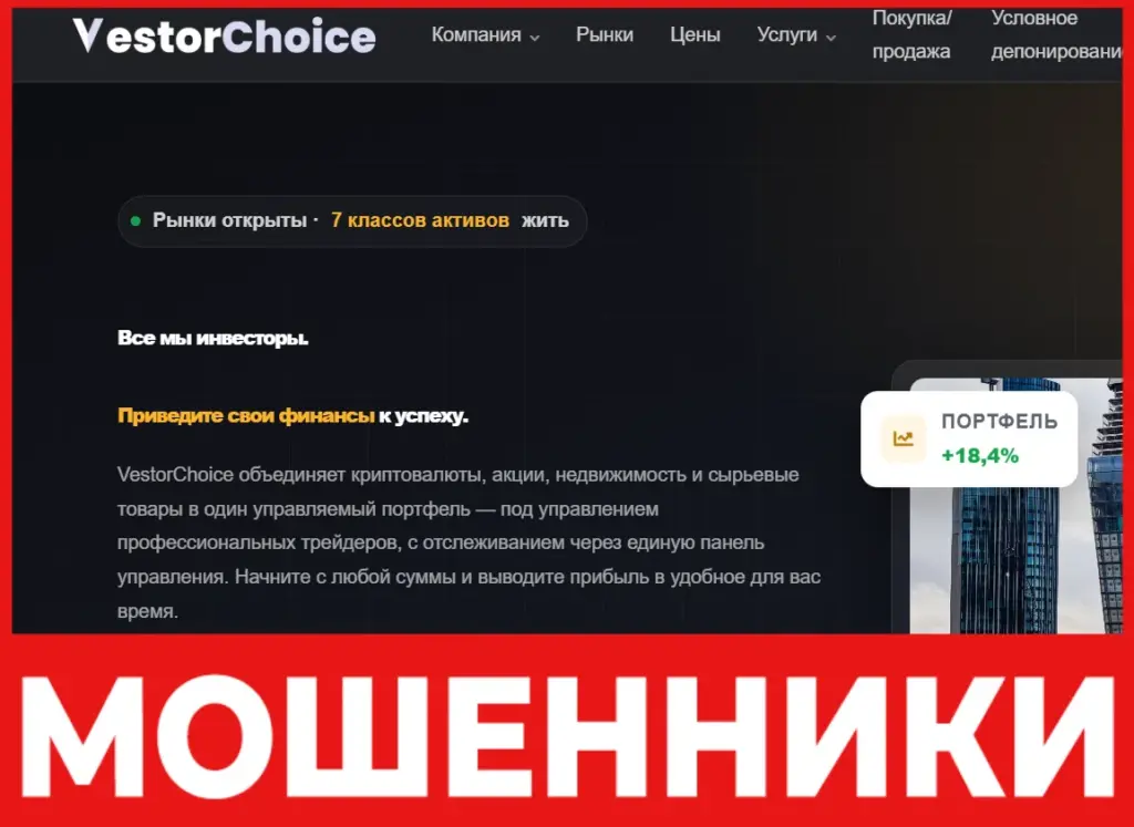 VestorChoice лицевая сторона скрин