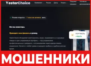 VestorChoice лицевая сторона скрин
